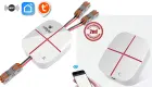 Miniatura: Nuovi Smart Switch 2 Canali WiFi by eMylo