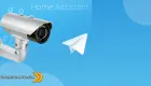 Miniatura: Home Assistant -Notifiche Telegram con Snapshot da Videocamere di Sicurezza