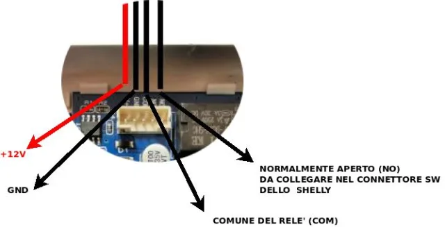 Pulsante 12v monitorato con Shelly 1 e Raspberry tramite Home Assistant