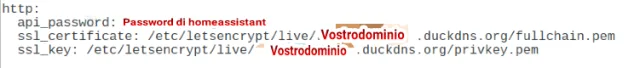 Accedere ad Home Assistant in modalità sicura con DuckDNS e SSL Let's Encrypt(aggiornato con sensore e notifica telegram)