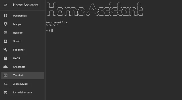 Home Assistant Terminal