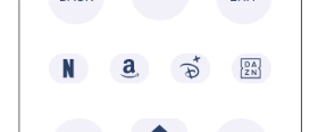 dettaglio telecomando