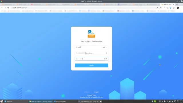Inserimento credenziali