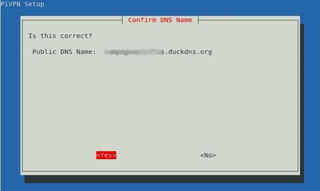 confirm dns name