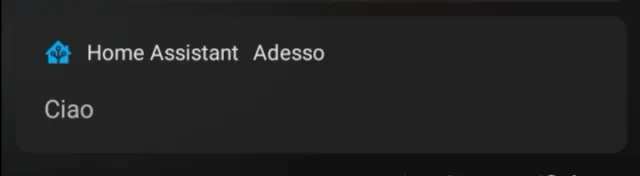 Notifica Home Assistant