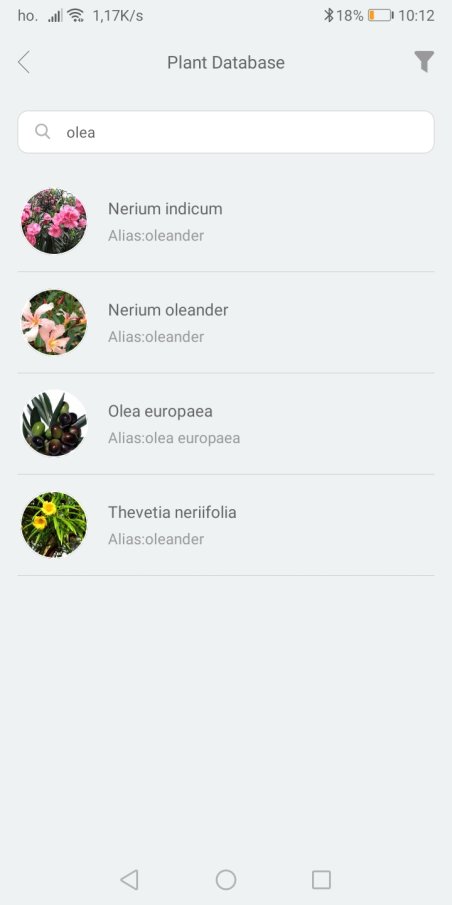 Xiaomi Mi flora Nome Pianta