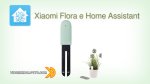 Integrare Xiaomi Flora in Home Assistant per un vero pollice verde!