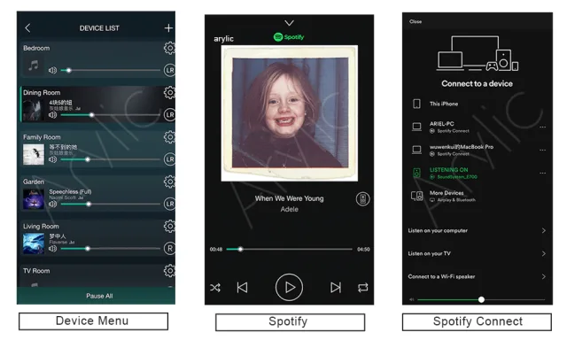 dettaglio applicazione