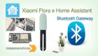 Miniatura: Creare Gateway Bluetooth per Xiaomi mi Flora
