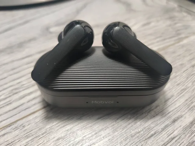 auricolari e custodia