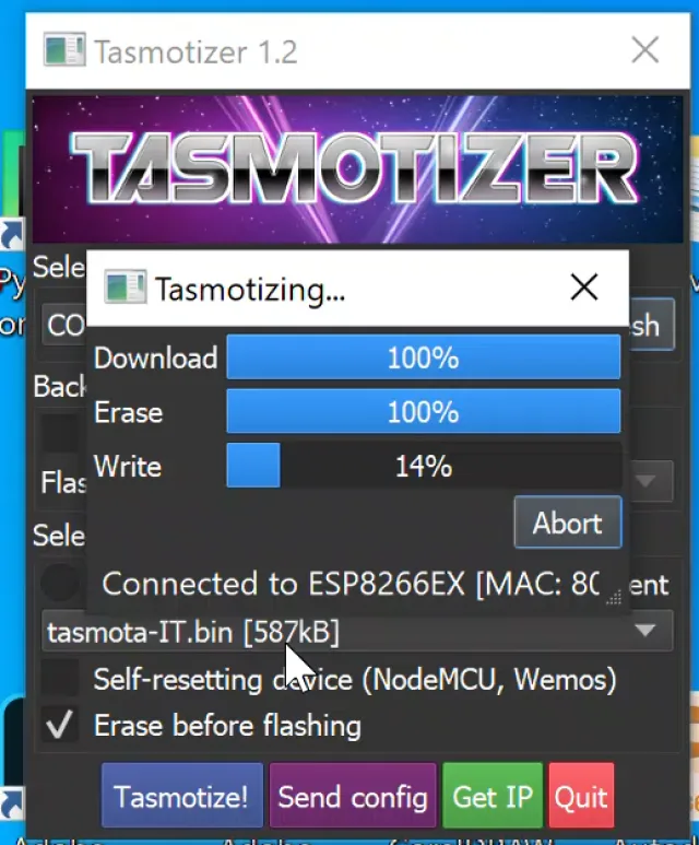 tasmotizer terza schermata