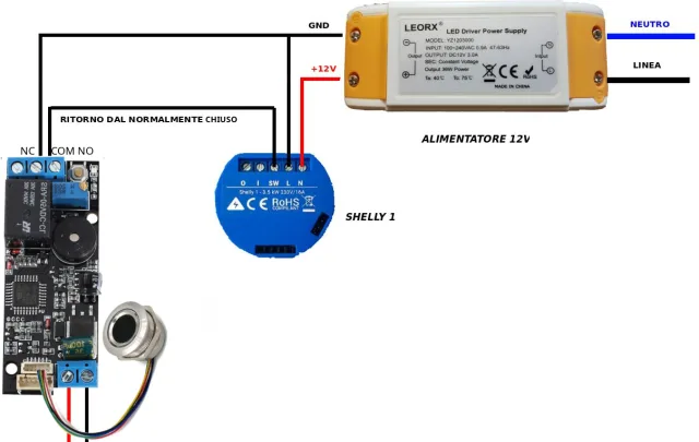 Schema di collegamento allo Shelly 1