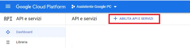 abilita api e servizi