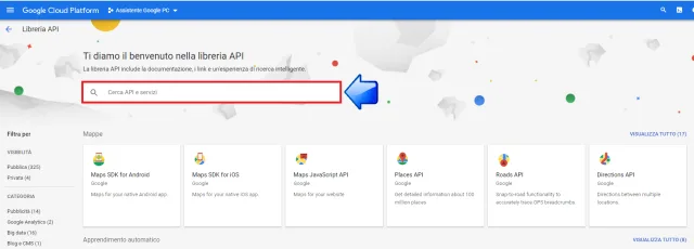 cerca api e serrvizi