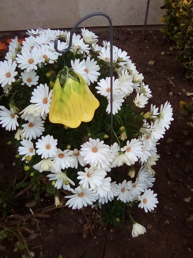 AGM M7 foto con molta luce