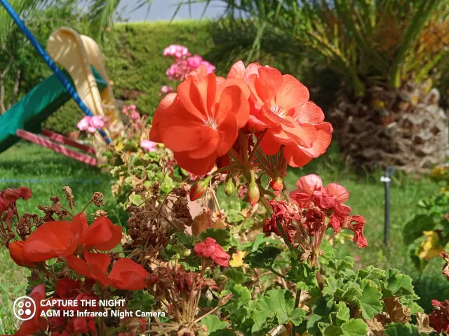 AGM H3 scatto diurno in esterno