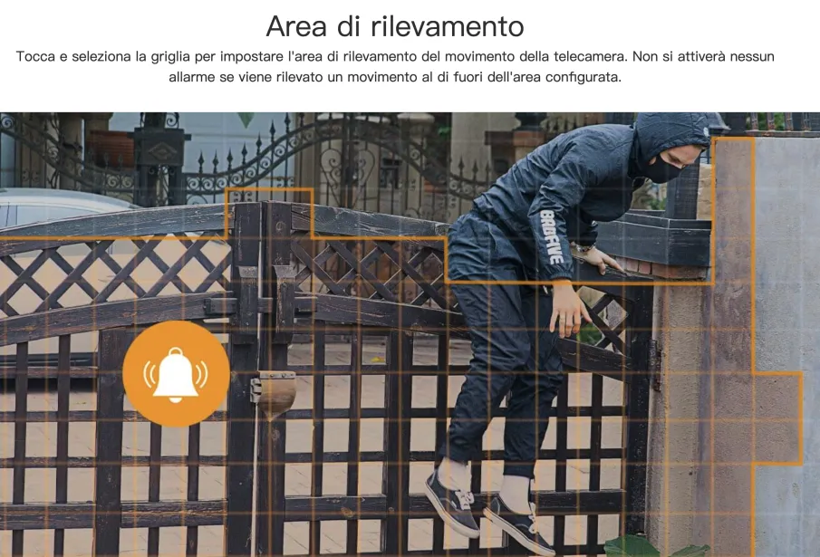 area di rilevamento
