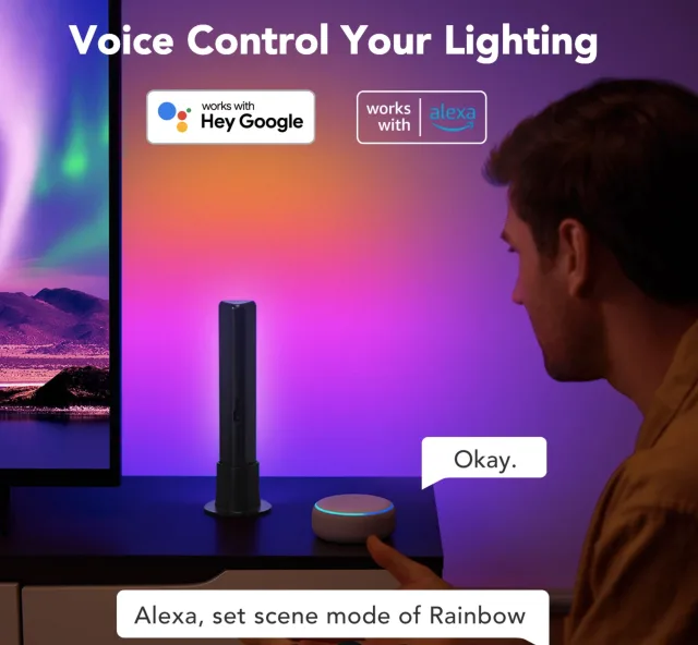 voice control