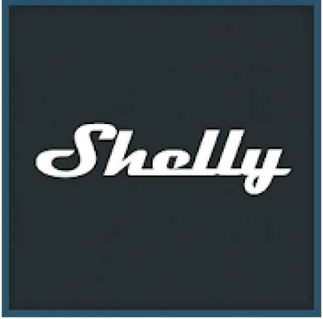 Tutti pazzi per Shelly - la nostra prova dello Shelly 1