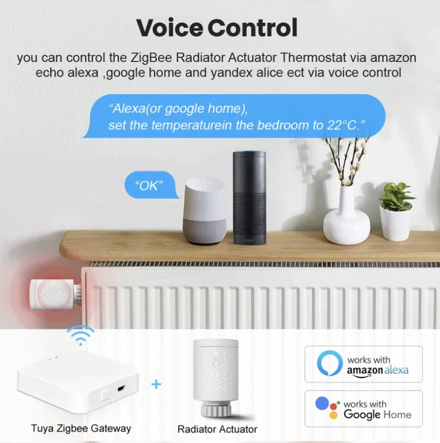 integrazion assistenti vocali