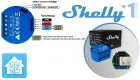 Miniatura: Tutti pazzi per Shelly - la nostra prova dello Shelly 1