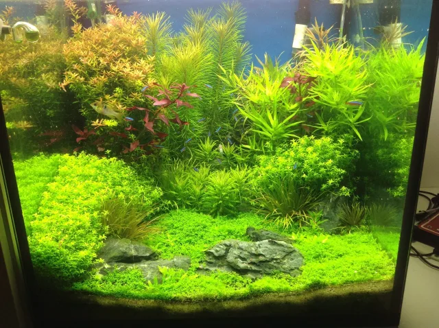 restyling cubo 60x60