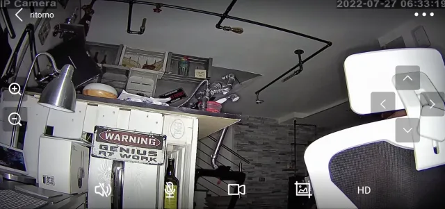 visione notturna a colori