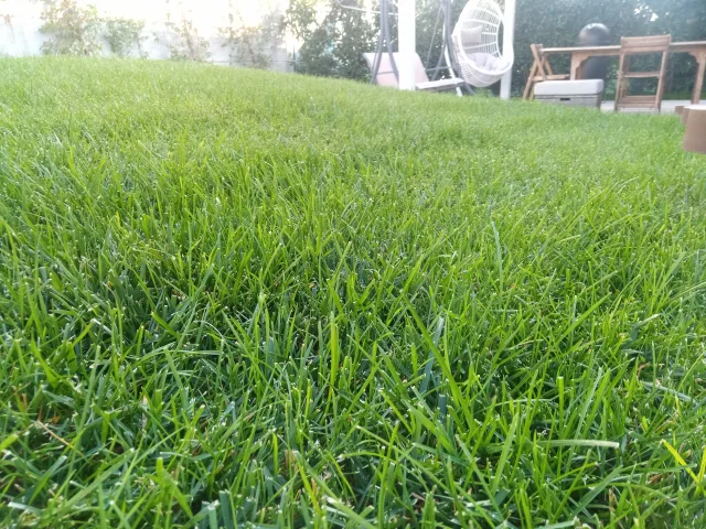 HOTWAV W10 Pro prova di scatto fotocamera