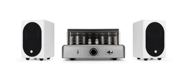 Trettitre amplificatore valvolare + altoparlanti passivi da studio