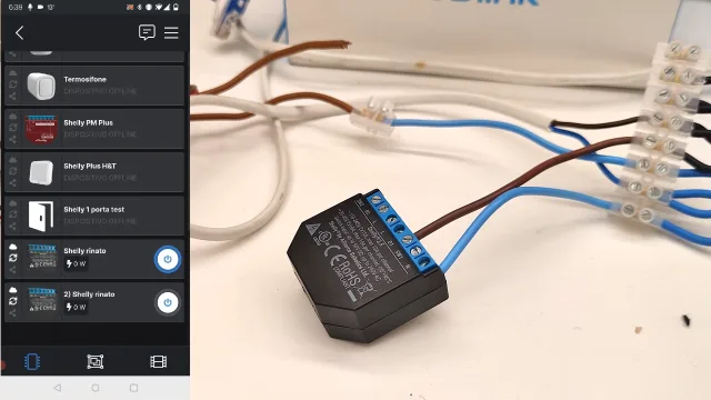 Shelly 2.5 riparato e perfettamente funzionante