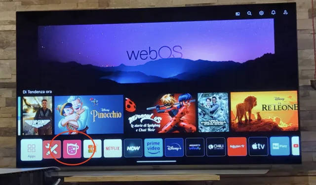 installazione homebrew channel
