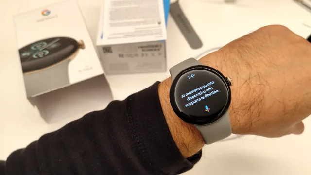 Pixel Watch 2 schermata di Google Assistant