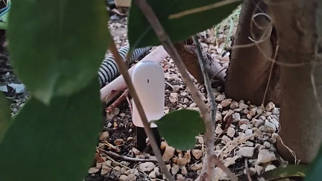 Xiaomi MI Plant Sensor in Home Assistant tramite Shelly BLU Gateway