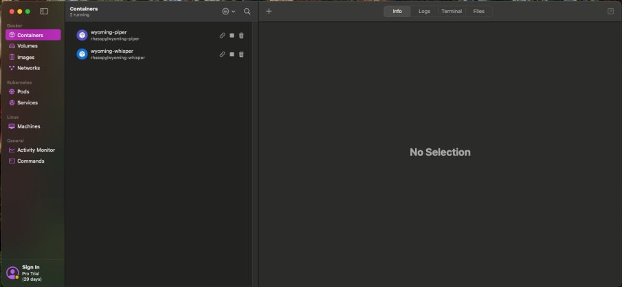 AI Locale su Mac Mini M4: Guida completa all'integrazione tra Ollama e Home Assistant